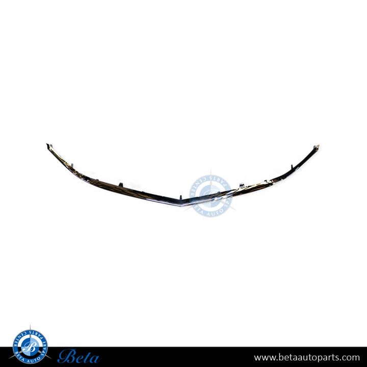 Mercedes E-Class Coupe C207 (2014-2016), Radiator Grille Frame Lower Moulding (Chrome), China, 2078881385