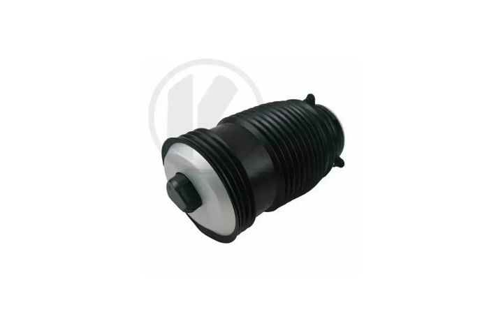 a2053200125 c   air spring   rear left