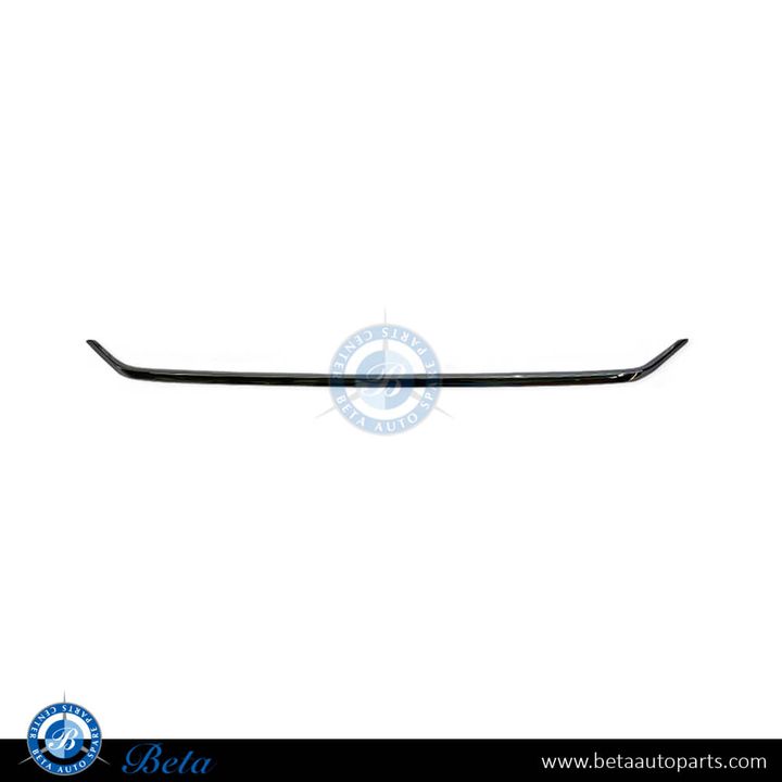 Mercedes E-Class W212 (2014-2016), Rear Bumper Moulding Avantgarde/Elegance - Chrome (Center), Taiwan, 2128854021