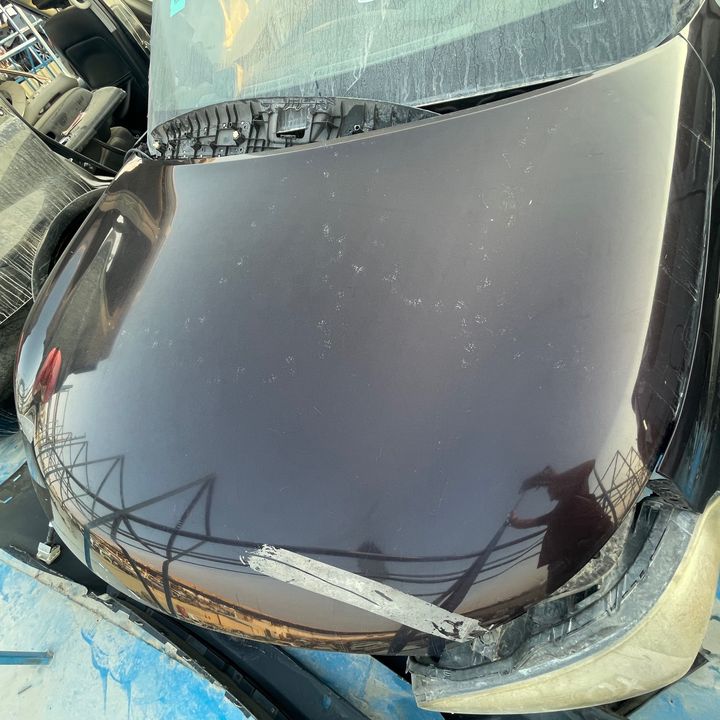 Hood/Bonnet - 2012 Infiniti QX56