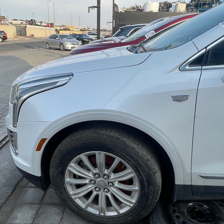 Fender (LHF) - 2017 Cadillac XT5