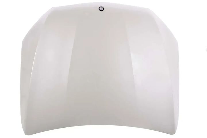 a2538800157 9799   hood