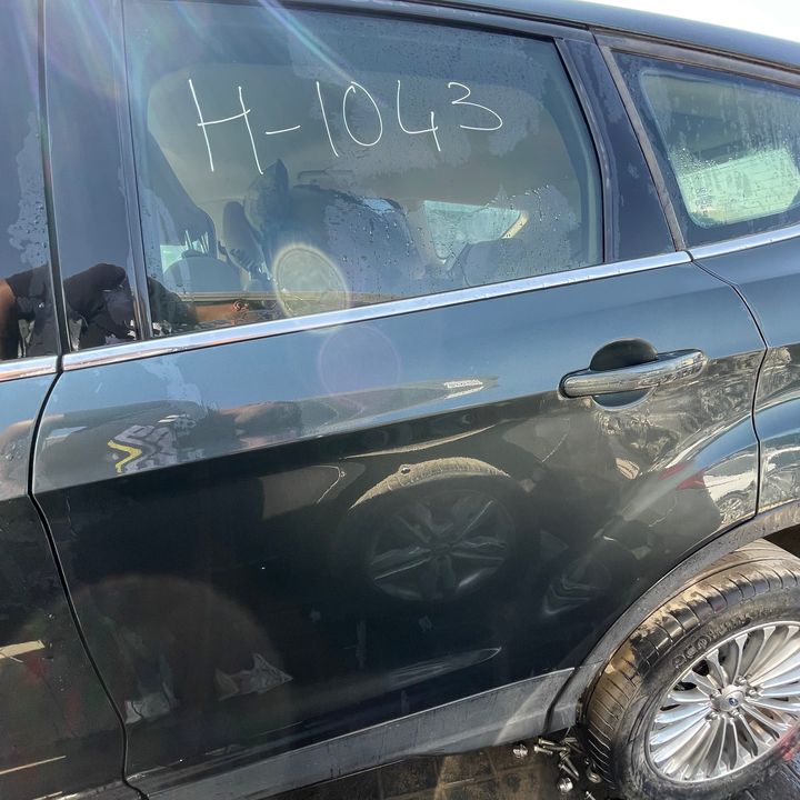 Door (LHB) - 2018 Ford Escape