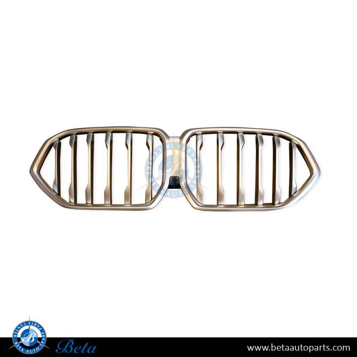 BMW X6 G06 (2020-Up), Radiator Grille Chrome, China, 51137481386
