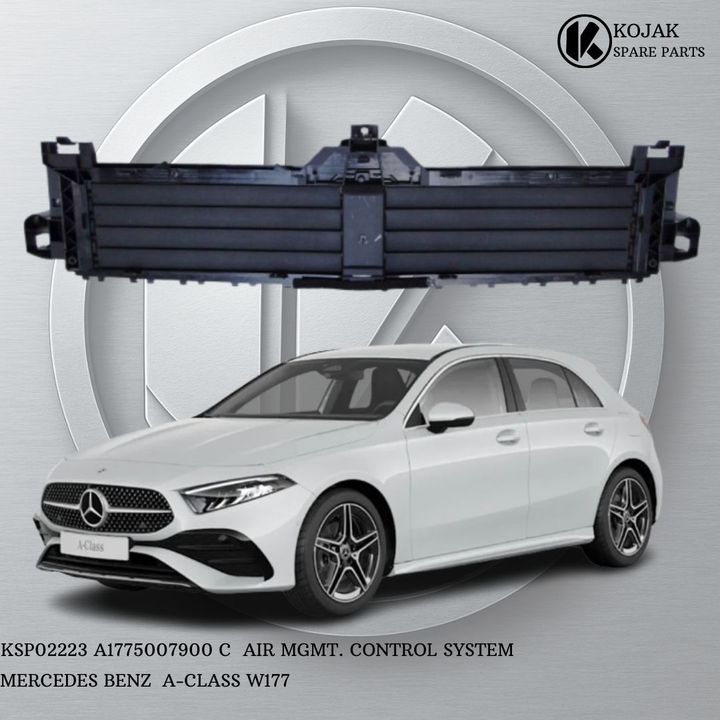 Mercedes-Benz A-Class W177 Air Management Control System