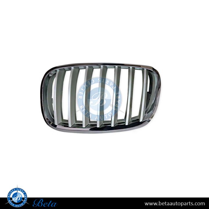 BMW X5 / X6 E70 / E71 (2007-2014), Radiator Grille - Silver (Left), China, 51137185223 / 51137307599