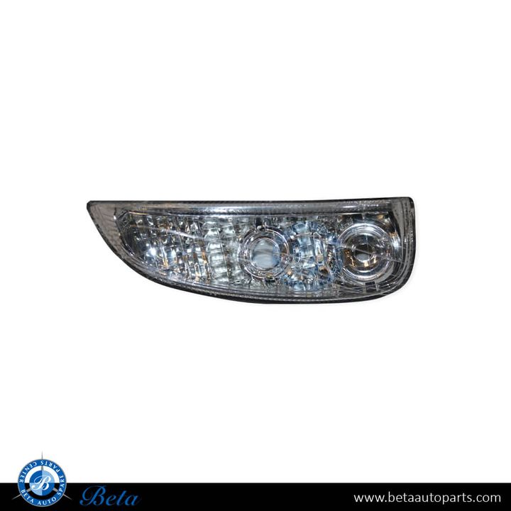 Porsche Cayenne (2007-2010), Direction Indicator (Left), China, 95563118102