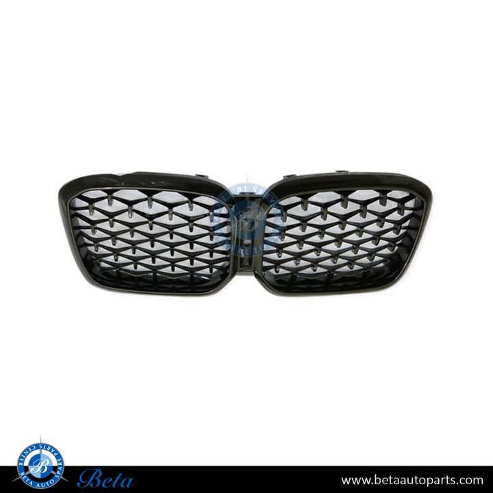 BMW X4 G02 LCI (2022-Up), Radiator Grille M-Tek Stars Look with Camera Hole (Gloss Black), China, 51135A1AC60