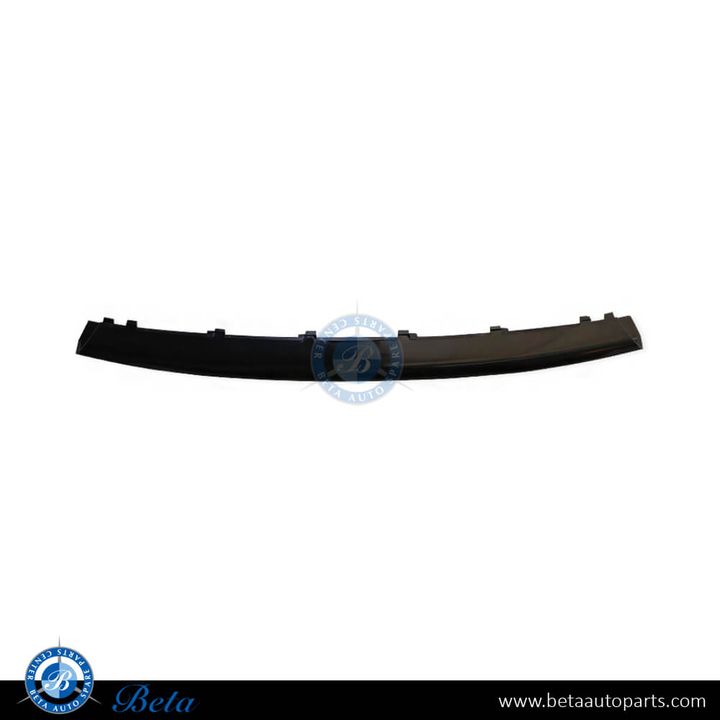 BMW 1 Series F20 / F21 (2012-2014), Front Bumper Moulding - Urban (Center), China, 51117272573