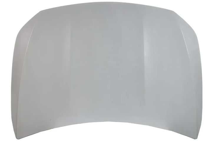 W118 HOOD