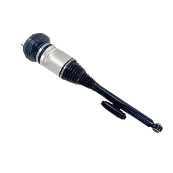AIR SPRING STRUT