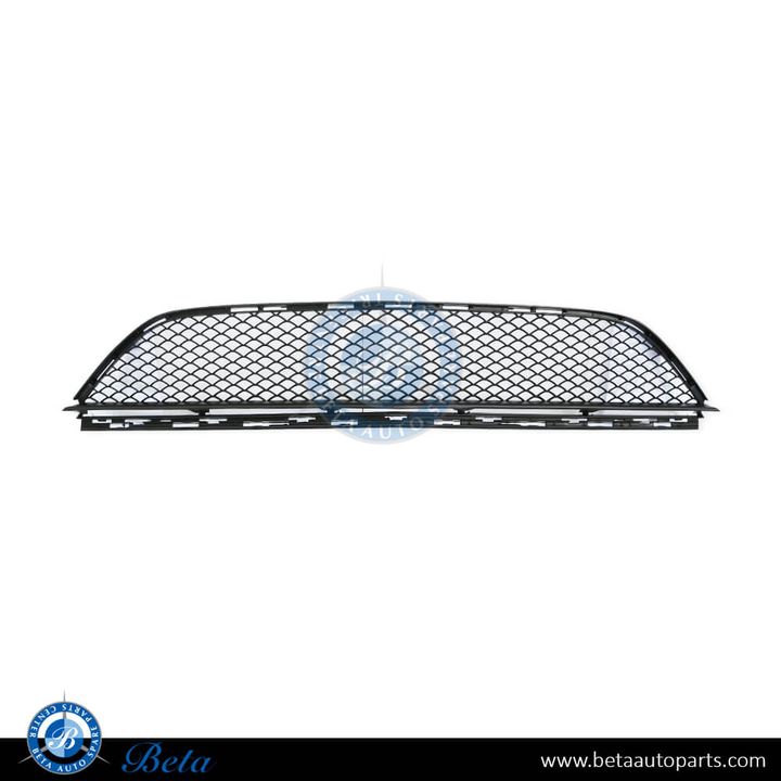 Mercedes CLS-Class W218 (2015-2018), Front Bumper Lower Grille Normal AMG (Center), China, 2188850024