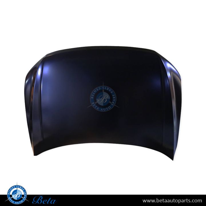 Volkswagen Tiguan (2017-2020), Hood - USA Type, Taiwan, 5NG823031H / 5NN823031B