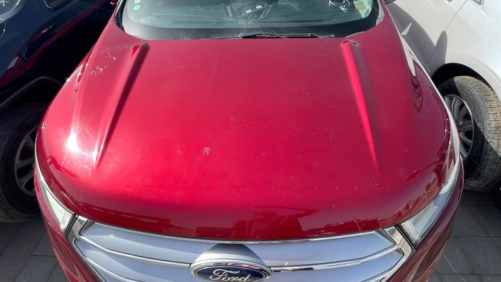 Hood/Bonnet - 2015 Ford Edge SEL