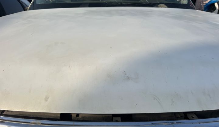 Hood/Bonnet - 2013 Infiniti QX56