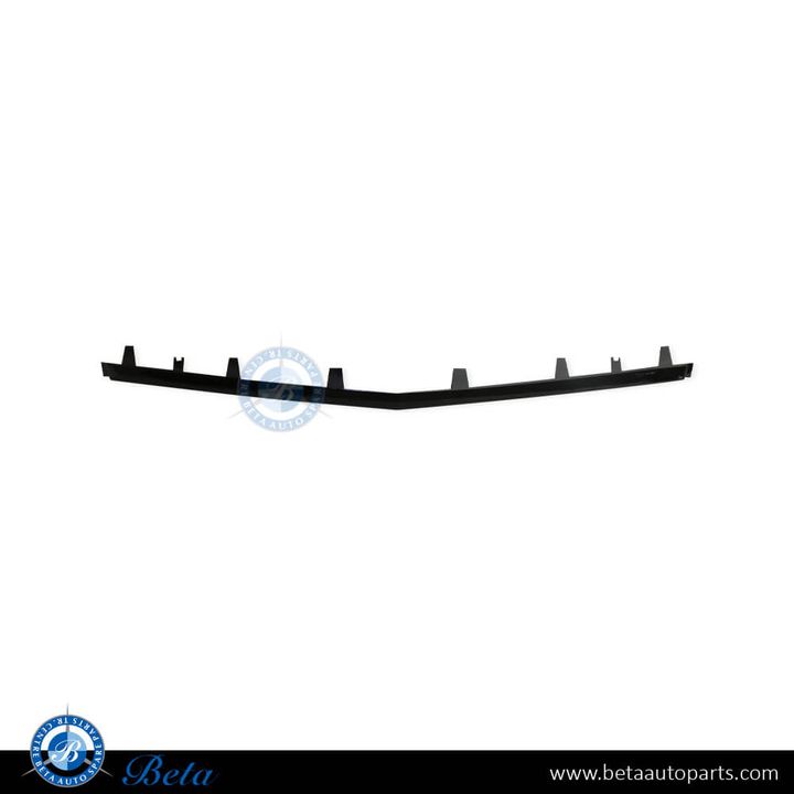 Mercedes C-Class / CLS-Class W205 / C205 / W218 (2015-2021), Front Bumper Lower Moulding AMG C63/CLS63 - Black (Center), Taiwan, 2058852474