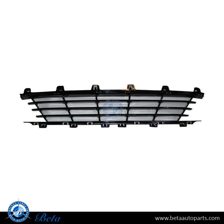 BMW 3 Series G20 (2019-2022), Front Bumper Lower Grille - Basis (Center), China, 51117464269
