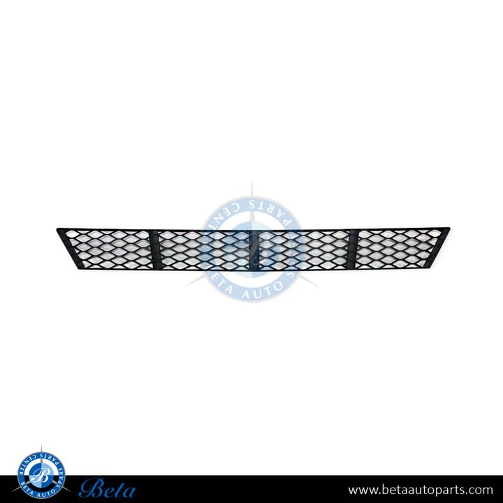 Mercedes E-Class W211 (2006-2009), Front Bumper Lower Grille (Center), Taiwan, 2118850122