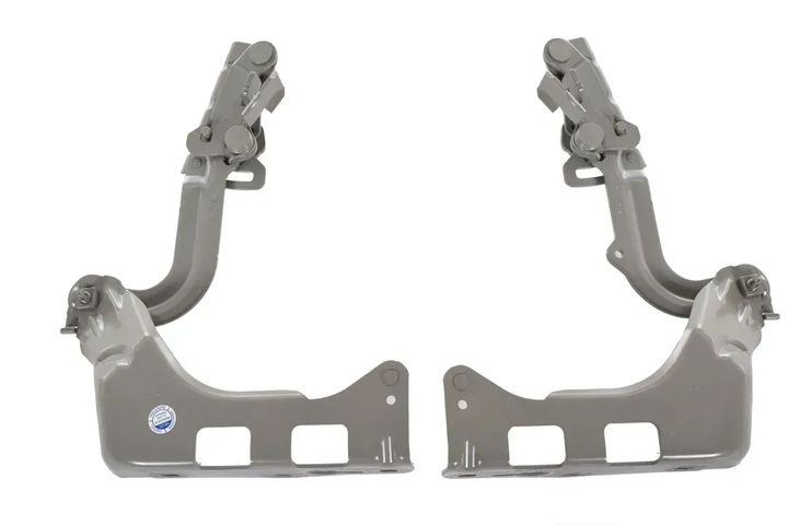 a2538800228 99   hood hinge set1