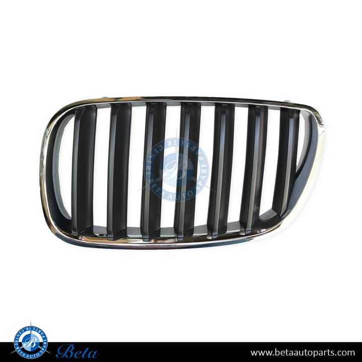 BMW X3 E83 LCI (2007-2010), Radiator Grille - Chrome Titanium (Right), Taiwan, 51113420092