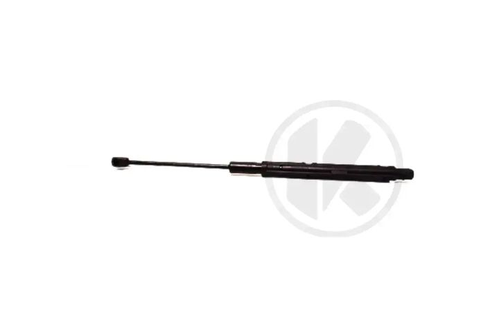 PNEUMATIC SPRING