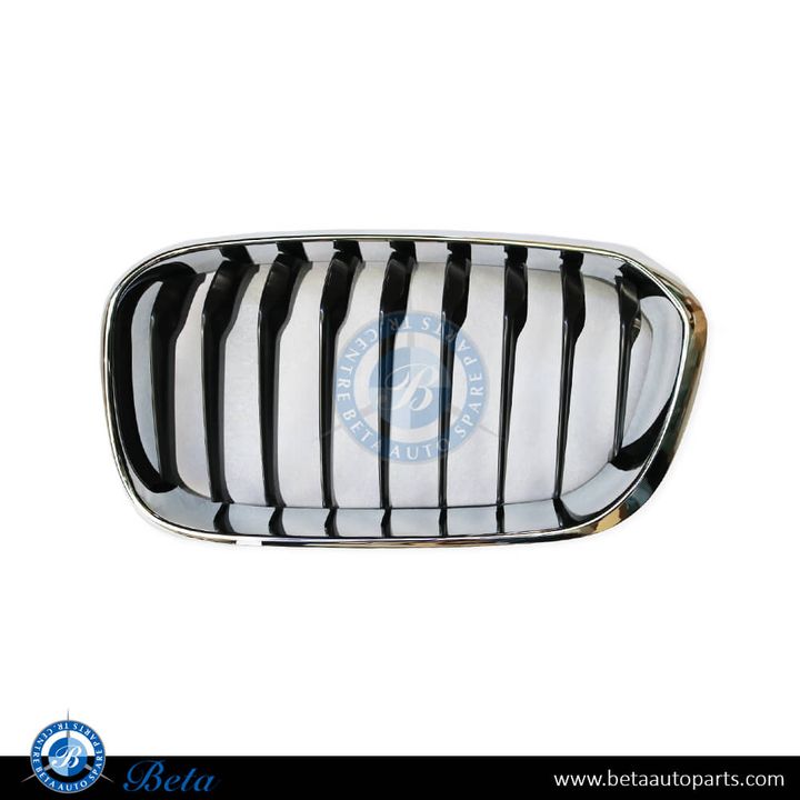 BMW 1 Series F20 / F21 LCI (2015-2019), Radiator Grille - Sport/M-Tek (Left), Taiwan, 51137371685