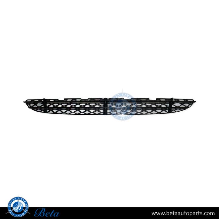 Mercedes S-Class W220 (2003-2005), Front Bumper Lower Grille (Center), Taiwan, 2208851523