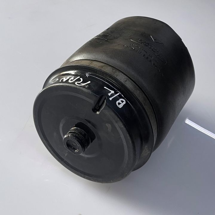 Shock Absober (LHB) - 2006 Land Rover RANGE ROVER