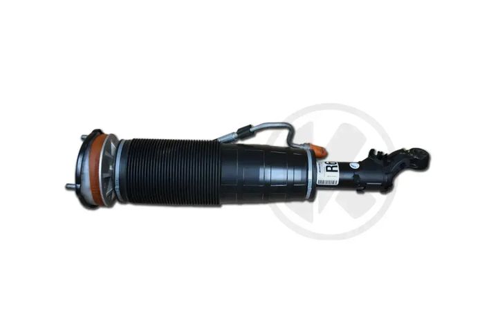 a2223206013 b   shock absorber