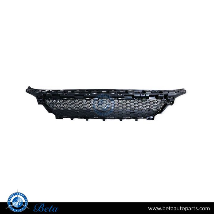 Mercedes C-Class W205 (2019-2021), Front Bumper Lower Grille AMG (Center), China, 2058856204