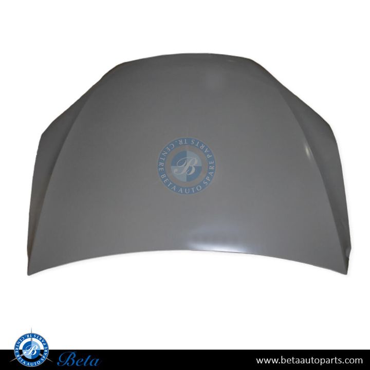 Tesla Model X (2015-2021), Hood, China, 1069531-E0-C