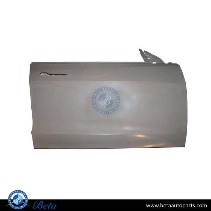 Tesla Model 3 (2017-2023), Front Door (Right), China, 1081420-E0-C