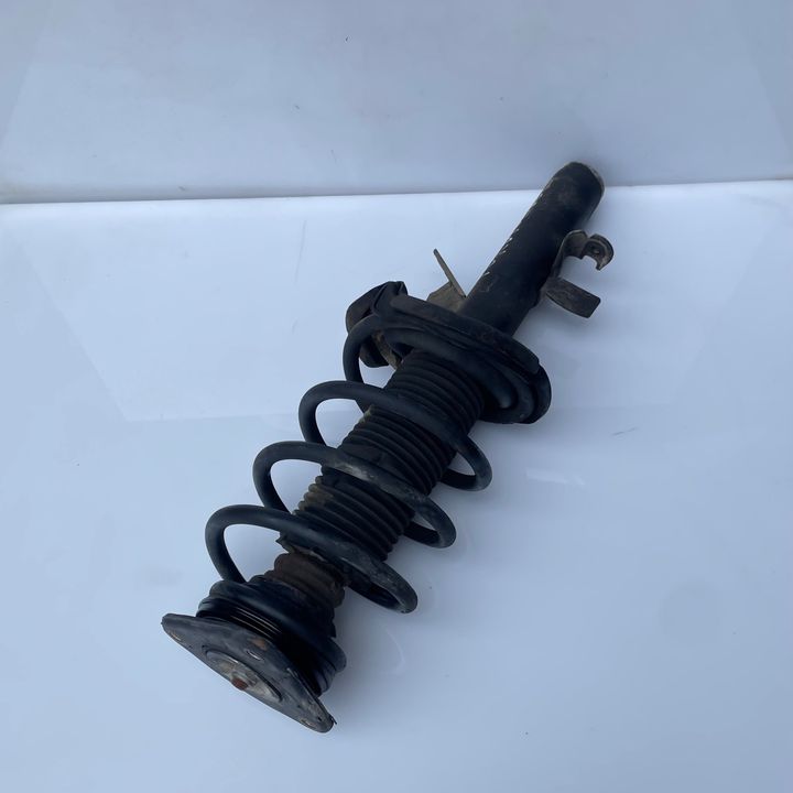 Shock Absorber (LHF) - 2014 Ford Focus