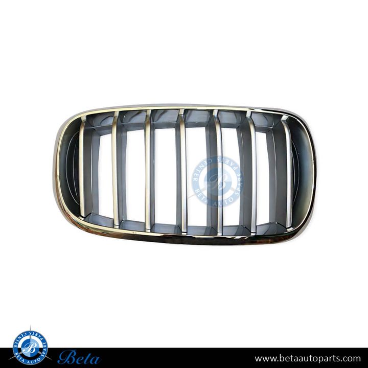 BMW X5 F15 (2014-2018), Radiator Grille - Titanium (Right), China, 51117303108