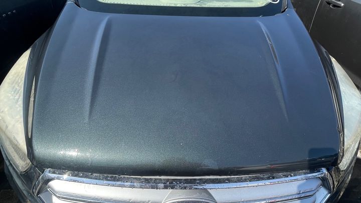 Hood/Bonnet - 2018 Ford Escape
