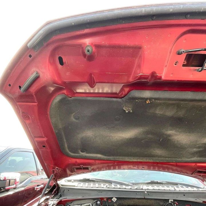 Hood/Bonnet - 2018 Ford Expedition