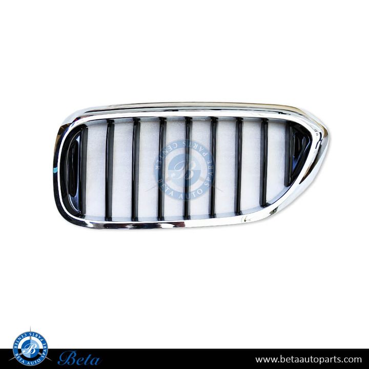 BMW 5 Series G30 (2017-2020), Radiator Grille - Sport/M-Tek (Left), Taiwan, 51137390863