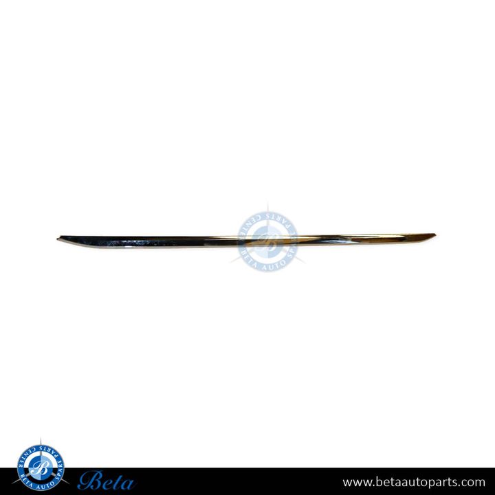 BMW 3 Series F30 (2012-2015), Rear Bumper Center Moulding (Luxury), Taiwan, 51127289755
