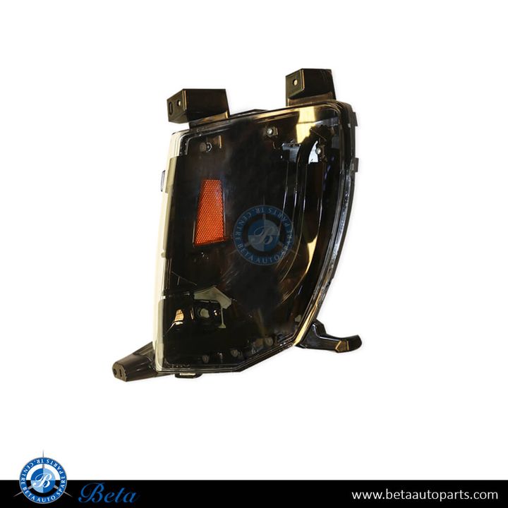 Tesla Model S (2016-2021), Fog Lamp - USA Type Low (Left), China, 1024016-00-C / 6005916-00-E