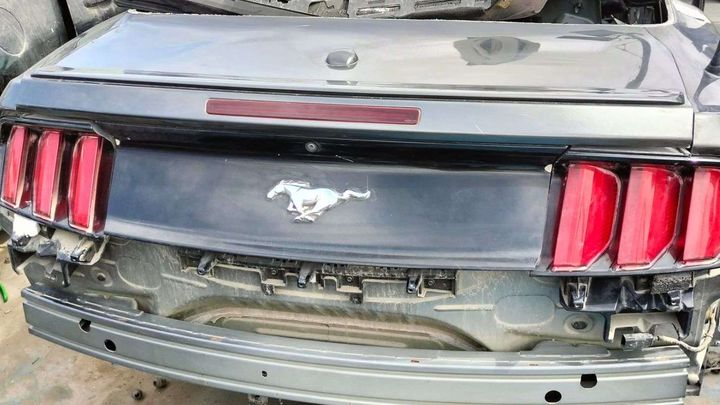 Tailgate - 2017 Ford Mustang
