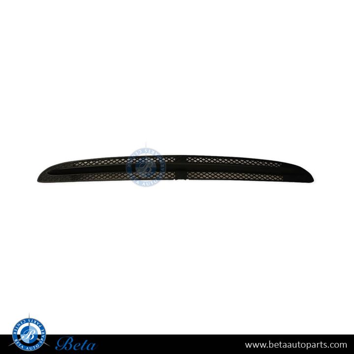 Mercedes S-Class W220 (2003-2005), Front Bumper Lower Grille with Line (Center), Taiwan, 2208850923