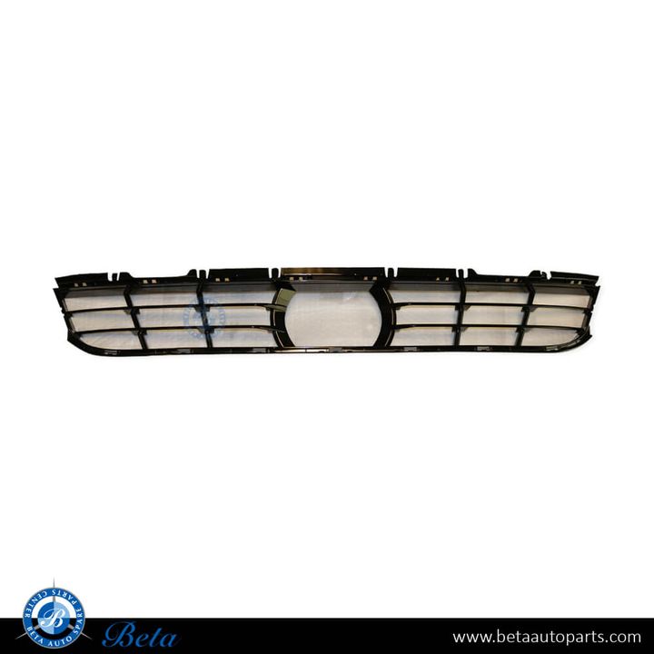BMW 5 Series G30 LCI (2021-2023), Front Bumper Lower Grille with ACC (Center), China, 51139463474