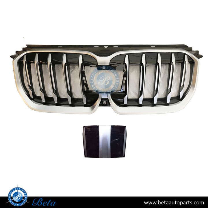 BMW X1 U11 (2023-Up), Radiator Grille (Silver), China, 51139883426