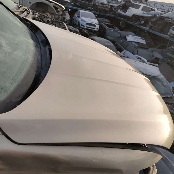 Hood/Bonnet - 2016 Lincoln MKX