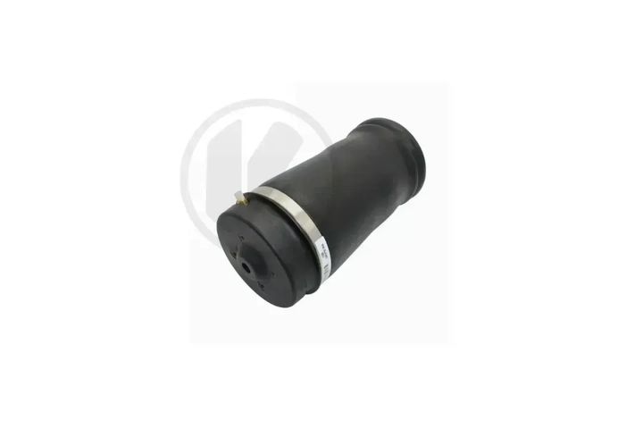 AIR SPRING - REAR LEFT AND RIGHT