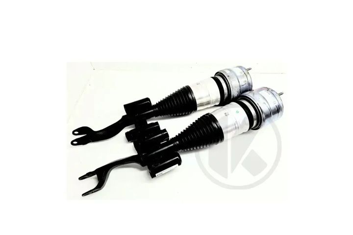 a2533207900 b   front shock absorber