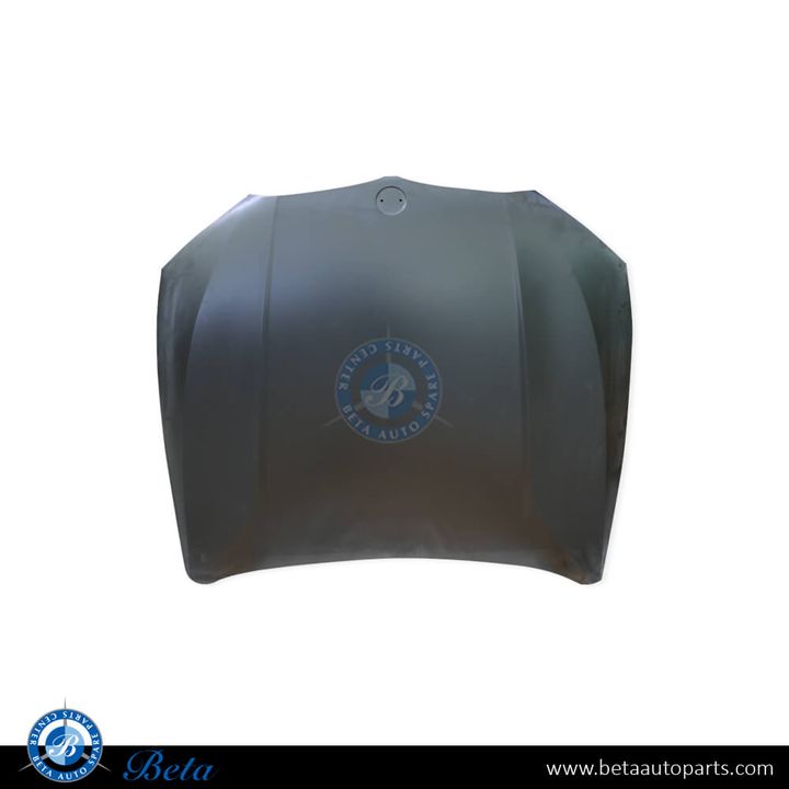 BMW 3 Series G20 (2019-2022), Hood (Aluminum), China, 41008494446