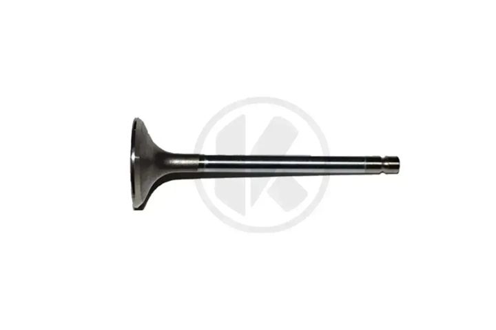 s1600530101   intake valve