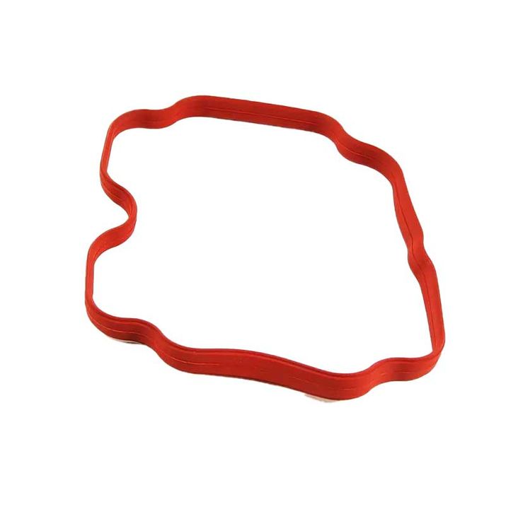 BMW Genuine Profile-Gasket 11611729727