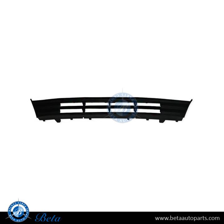 BMW 5 Series F10 LCI (2014-2016), Front Bumper Lower Grille (Center), China, 51117331724
